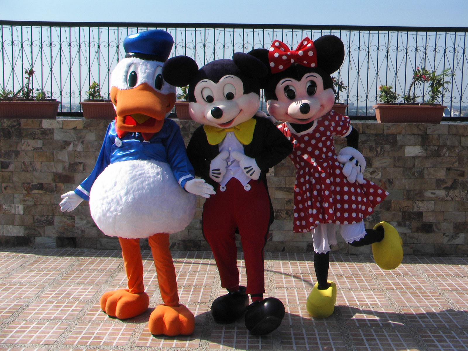 Mascot
